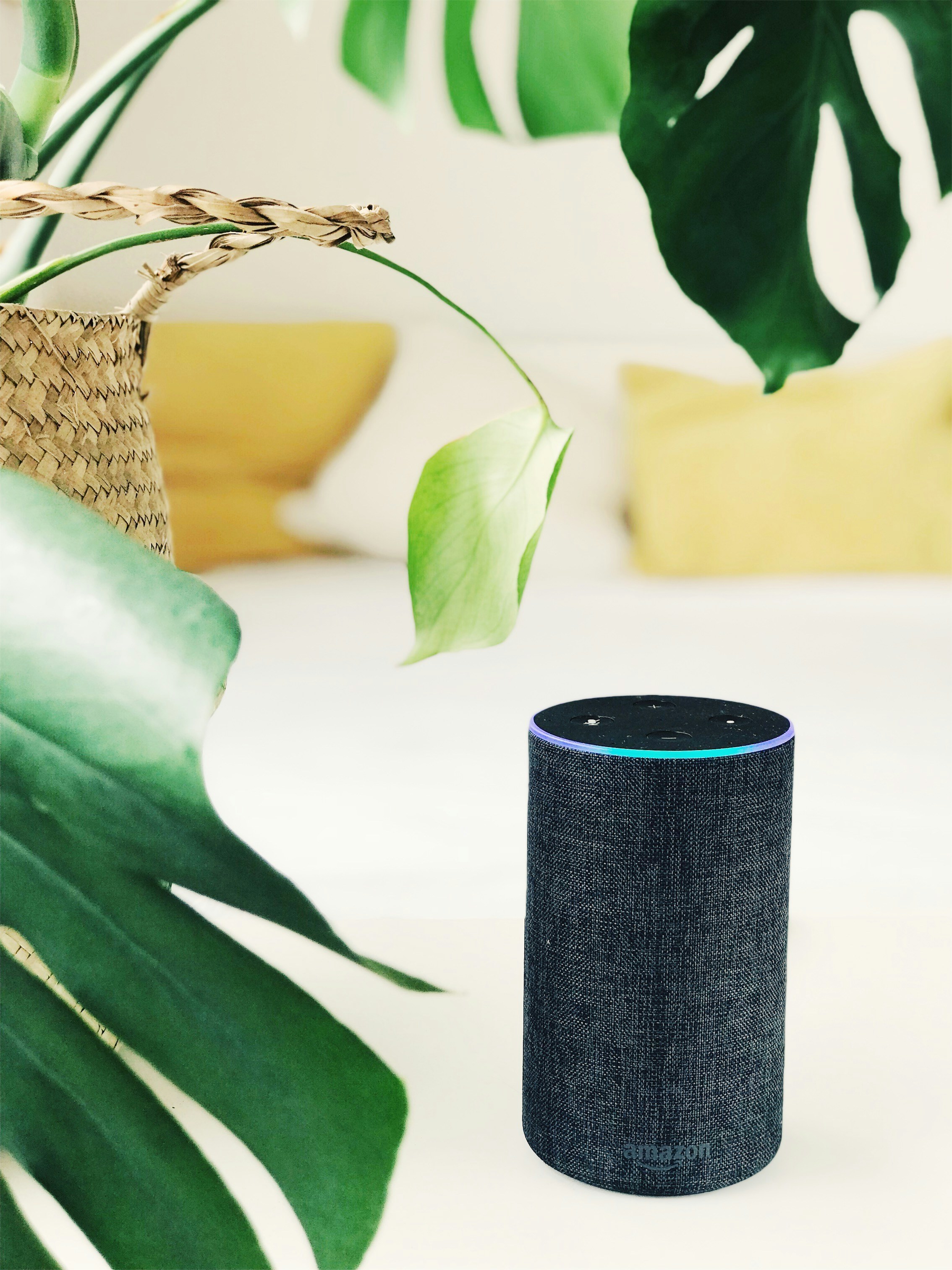 Asistente de voz Amazon Alexa